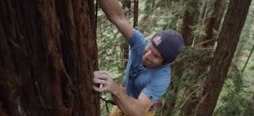 grimpe dans les arbres avec Chris Sharma